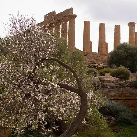 Daire Il Portoncino ^ Apt.^ Agrigento