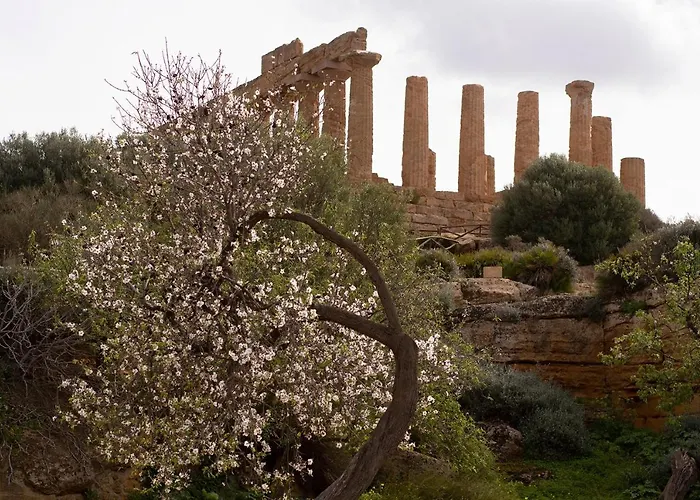 Daire Il Portoncino ^ Apt.^ Agrigento
